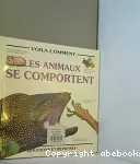 vignette